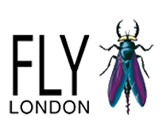 Fly
